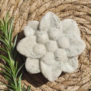 shampoo sólido 70gr