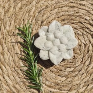 shampoo sólido 70gr